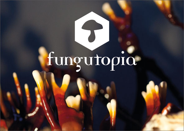 http://www.fungutopia.org/files/gimgs/19_karte-fungu-web.jpg